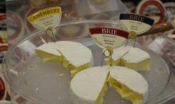 Tour to the Russian River