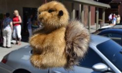 John Reed's squirrel hand puppet signaled many turns.