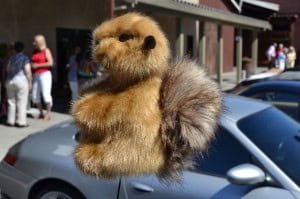 John Reed's squirrel hand puppet signaled many turns.