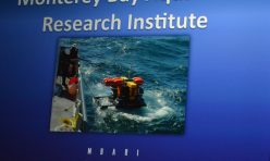 Aquarium Research Tour