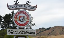 Tasting Cheese for Jacob's Heart