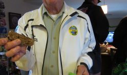 St. Partick;s Day with the Morgans