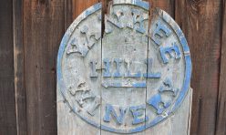 Yankee Hill Tour 2018