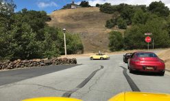 Wild Wiener Tour 2020