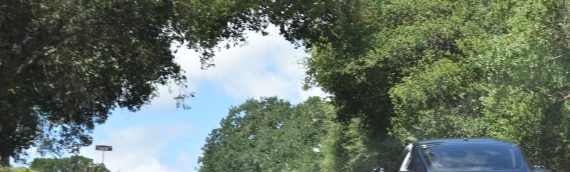 No Wine and No Wieners Tour