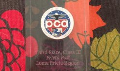 Contest Winners 2020