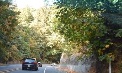 Hills Are Alive Tour 2020