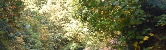 Jacob’s Heart Charity Tour