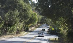 Ole Amigos Tour 2021