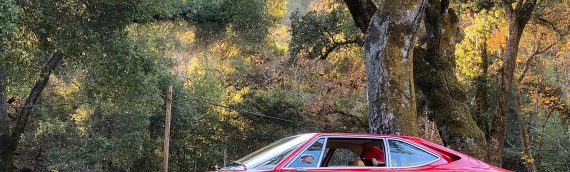 Porsche v Ferrari (or rather a peculiar similarity of an unloved lineage)