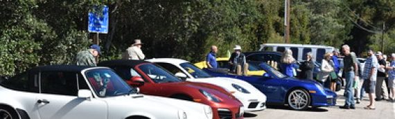 Bathing in the Redwoods Tour